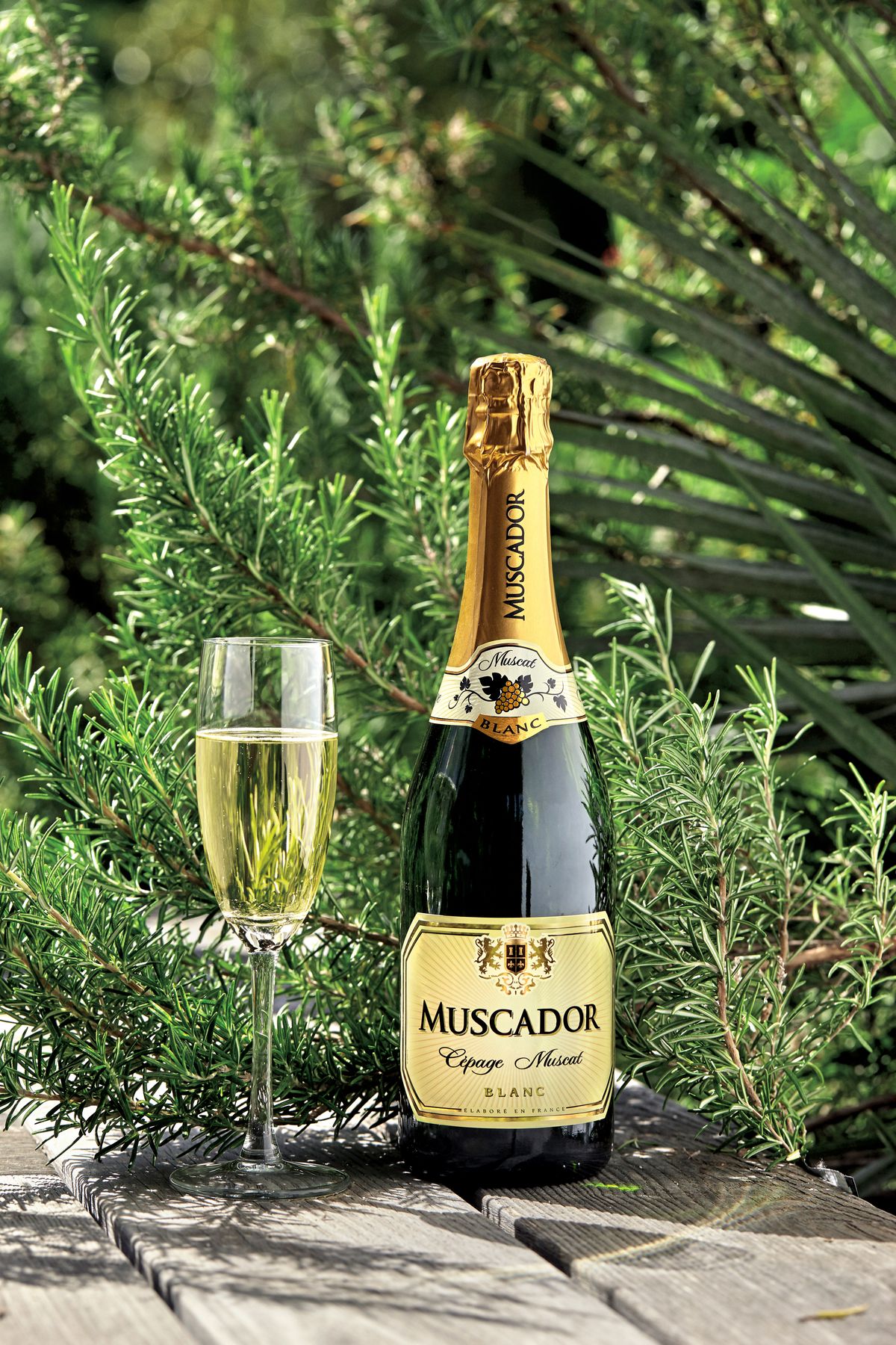 Carton de vin blanc Muscador